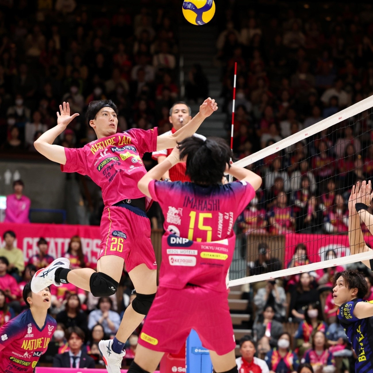 牛牛风险怎么控（如何掌控牛牛风险）